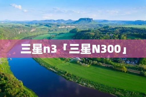 三星n3「三星N300」
