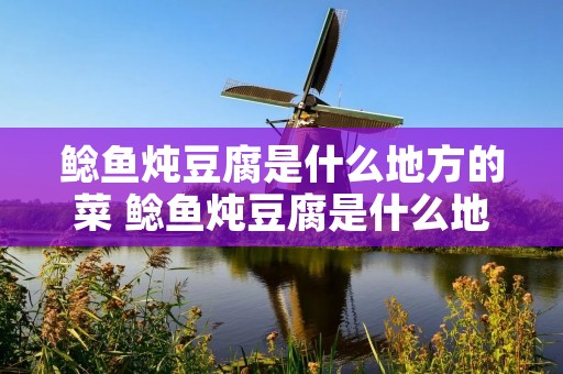 鲶鱼炖豆腐是什么地方的菜 鲶鱼炖豆腐是什么地方的菜品