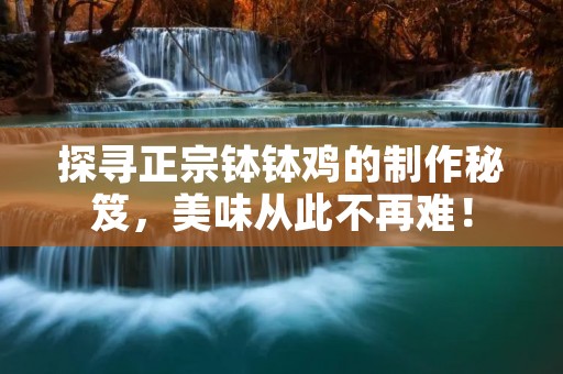 探寻正宗钵钵鸡的制作秘笈，美味从此不再难！