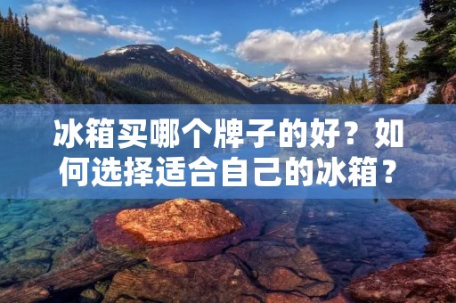 冰箱买哪个牌子的好?如何选择适合自己的冰箱?