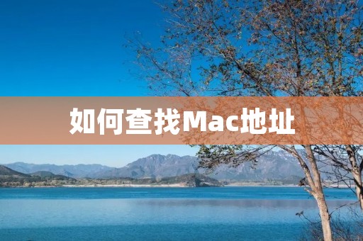 如何查找Mac地址