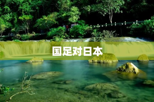 国足对日本：争夺亚洲足球霸主的较量