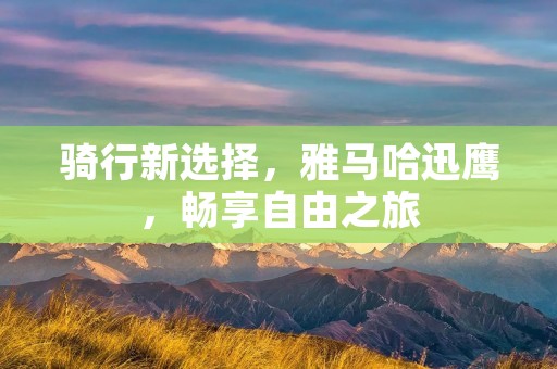 骑行新选择，雅马哈迅鹰，畅享自由之旅