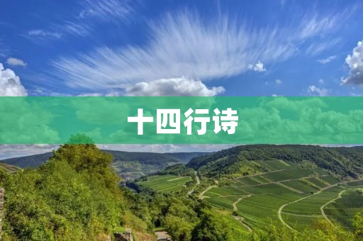 十四行诗：爱与痛的交织