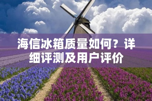 海信冰箱质量如何?详细评测及用户评价 海信冰箱质量如何?详细评测及用户评价