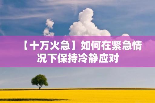 【十万火急】如何在紧急情况下保持冷静应对