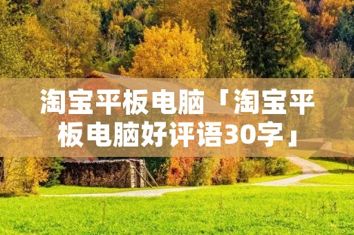 淘宝平板电脑「淘宝平板电脑好评语30字」