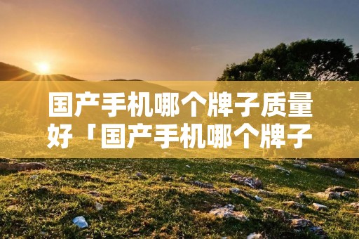 国产手机哪个牌子质量好「国产手机哪个牌子质量好一点」