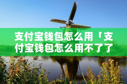 支付宝钱包怎么用「支付宝钱包怎么用不了了」