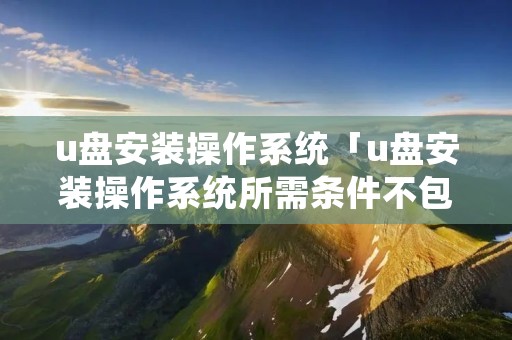 u盘安装操作系统「u盘安装操作系统所需条件不包括」