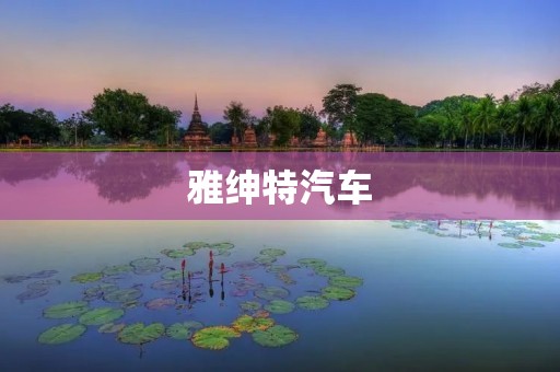 雅绅特汽车：独具魅力的豪华座驾