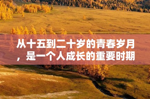 从十五到二十岁的青春岁月，是一个人成长的重要时期。在这个时期，人们经历了身体和心智的巨大变化，面对着许多新的挑战和机遇。本文将详细描述十五到二十岁这段时期的特点和重要性，帮助读者更好地理解和应对这个阶段的生活和发展。
