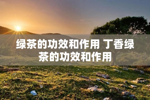 绿茶的功效和作用 丁香绿茶的功效和作用