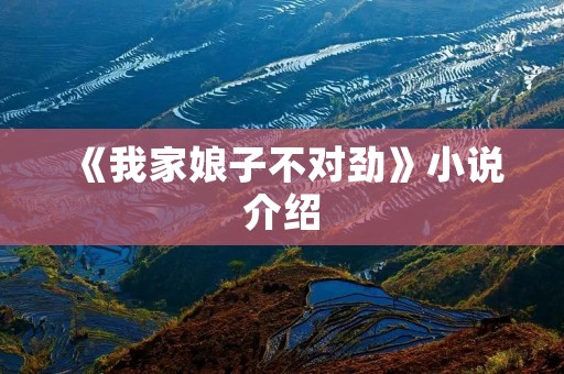 《我家娘子不对劲》小说介绍