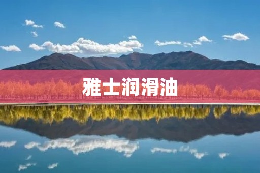 雅士润滑油:为您的汽车提供卓越保护 雅士润滑油:为您的汽车提供卓越保护