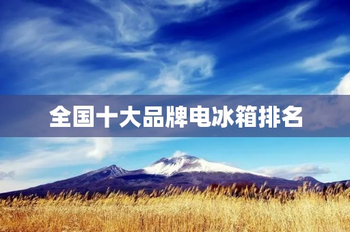全国十大品牌电冰箱排名:哪些品牌在市场中独占鳌头? 全国十大品牌电冰箱排名:哪些品牌在市场中独占鳌头?