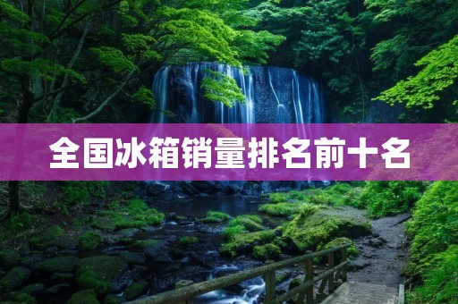 全国冰箱销量排名前十名：哪些品牌在市场中占据主导地位？