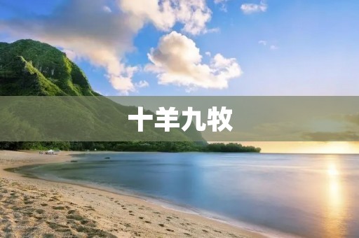 十羊九牧：品牌背后的创新与传承