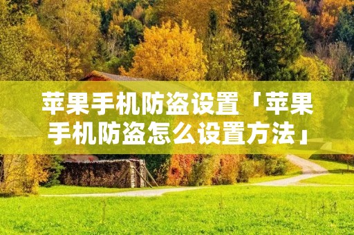 苹果手机防盗设置「苹果手机防盗怎么设置方法」