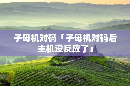 子母机对码「子母机对码后主机没反应了」 子母机对码「子母机对码后主机没反应了」