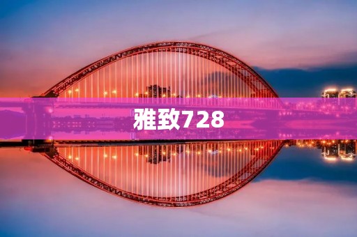 雅致728：打造你的独特风格