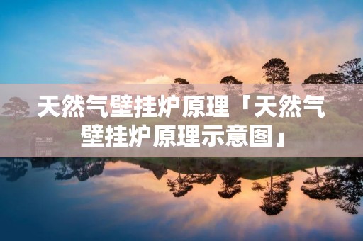 天然气壁挂炉原理「天然气壁挂炉原理示意图」