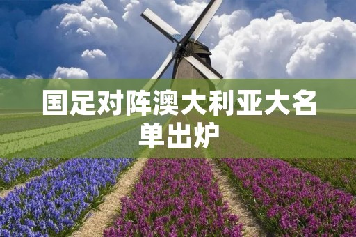 国足对阵澳大利亚大名单出炉：实力派球员集结，备战关键比赛
