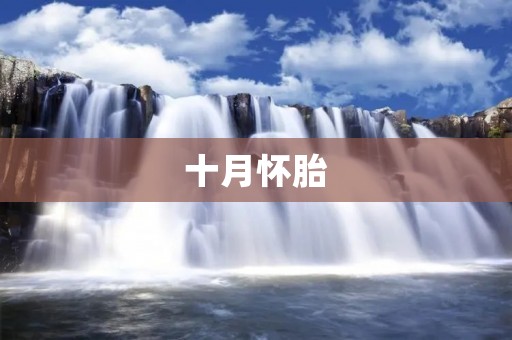 十月怀胎：一个神奇的孕育过程