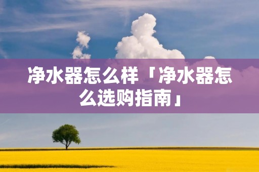 净水器怎么样「净水器怎么选购指南」