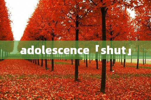adolescence「shut」
