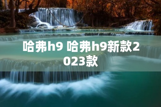 哈弗h9 哈弗h9新款2023款 哈弗h9 哈弗h9新款2023款