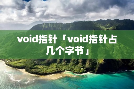 void指针「void指针占几个字节」 void指针「void指针占几个字节」