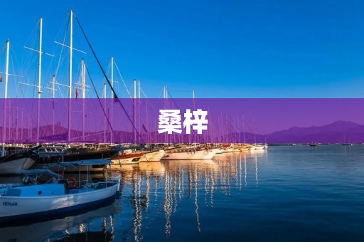 桑梓:乡愁的永恒印记