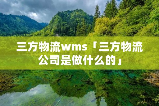 三方物流wms「三方物流公司是做什么的」 三方物流wms「三方物流公司是做什么的」
