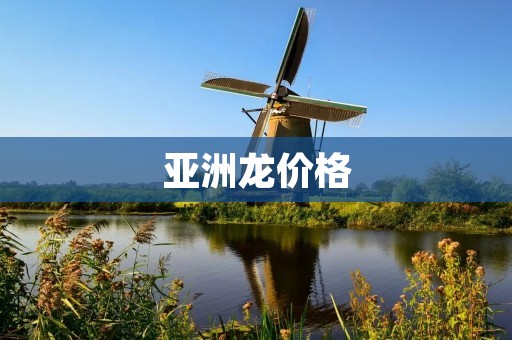 亚洲龙价格:了解亚洲龙的市场价格及其影响因素 亚洲龙价格:了解亚洲龙的市场价格及其影响因素