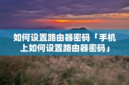 如何设置路由器密码「手机上如何设置路由器密码」