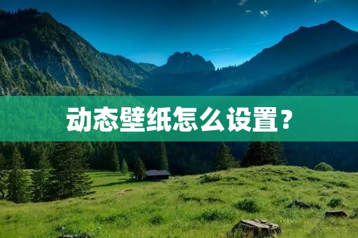 动态壁纸怎么设置?
