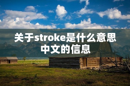 关于stroke是什么意思中文的信息 关于stroke是什么意思中文的信息
