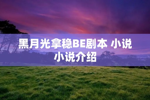黑月光拿稳BE剧本 小说小说介绍