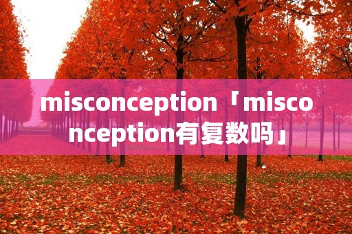 misconception「misconception有复数吗」