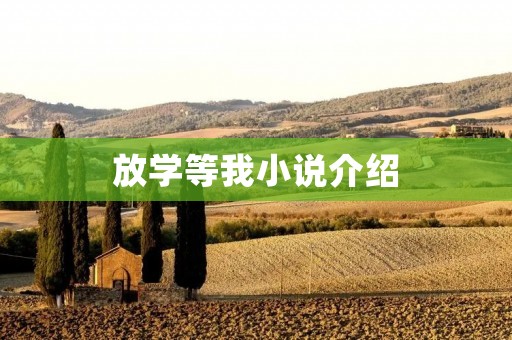 放学等我小说介绍