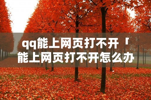 qq能上网页打不开「能上网页打不开怎么办」