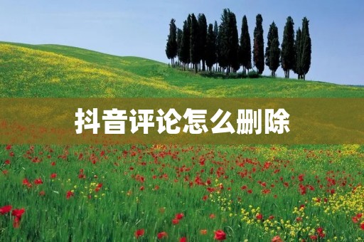 抖音评论怎么删除:一步步教你轻松删除不需要的评论