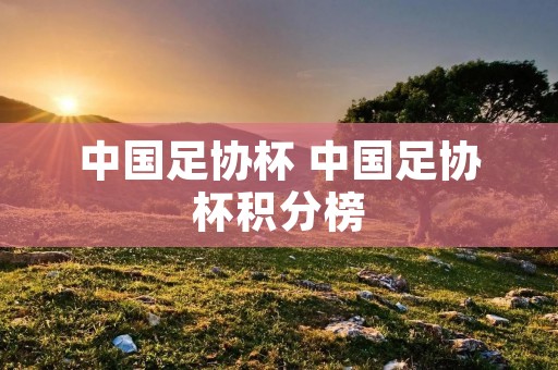中国足协杯 中国足协杯积分榜