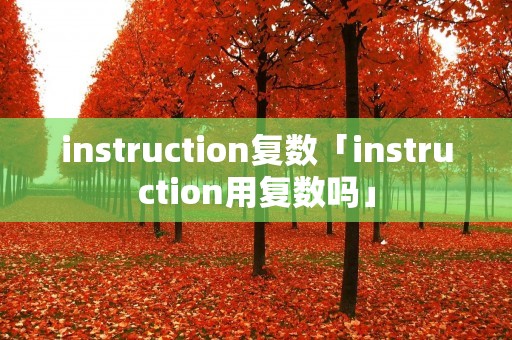 instruction复数「instruction用复数吗」 instruction复数「instruction用复数吗」