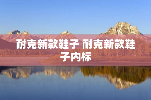 耐克新款鞋子 耐克新款鞋子内标
