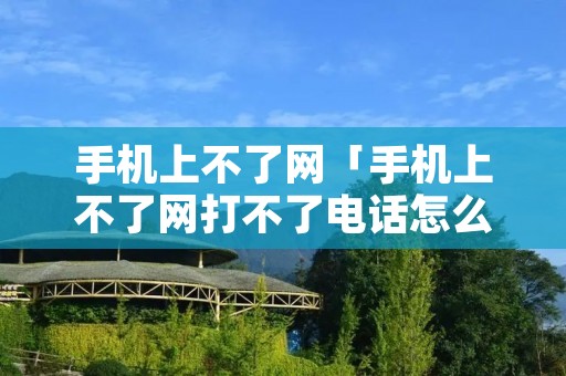 手机上不了网「手机上不了网打不了**怎么回事」