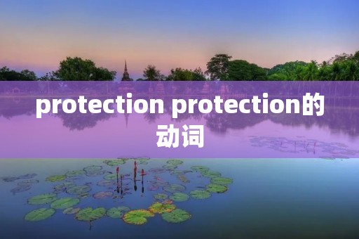 protection protection的动词