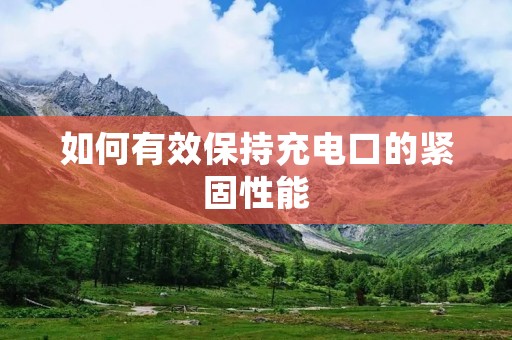 如何有效保持充电口的紧固性能