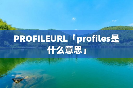 PROFILEURL「profiles是什么意思」 PROFILEURL「profiles是什么意思」